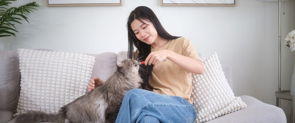 Young woman sitting on the couch giving her cat a treat