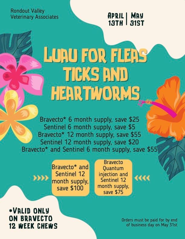 Fleas, Ticks and Heartworm Prevention Promotional Pricing