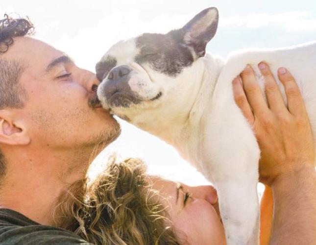 9 Health Tips Every Dog Owner Should Know on National Dog Day