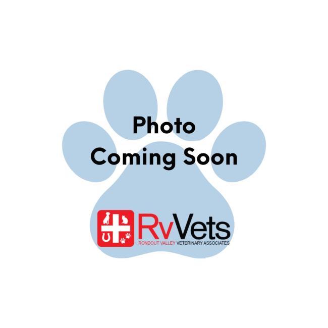 Team Member Photo Coming Soon